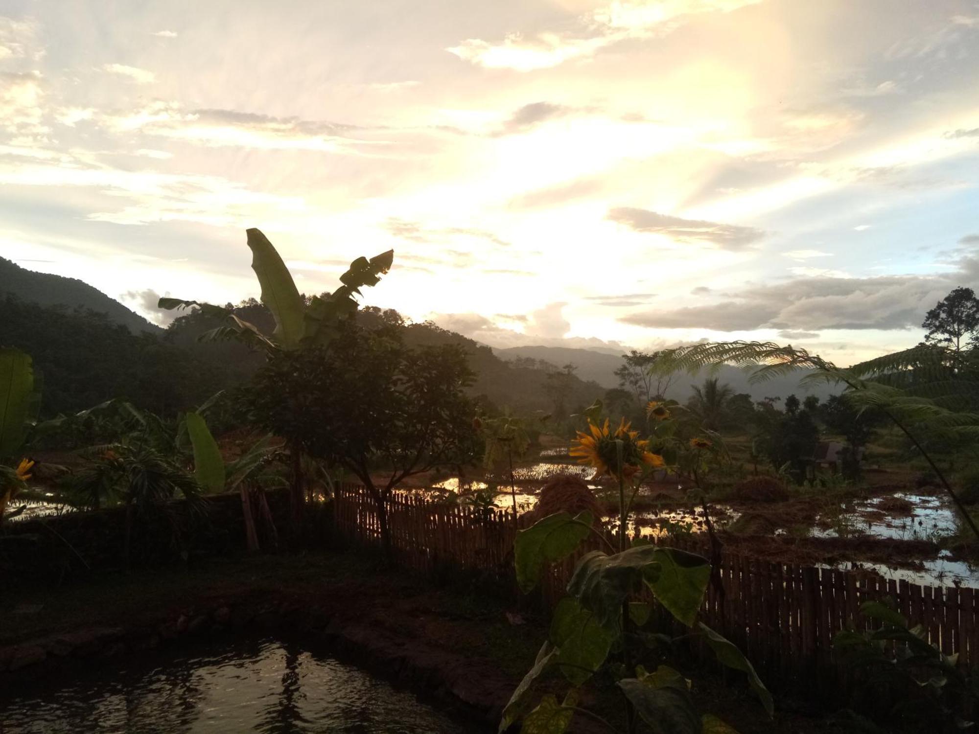 De Salak Homestay Bogor Ngoại thất bức ảnh
