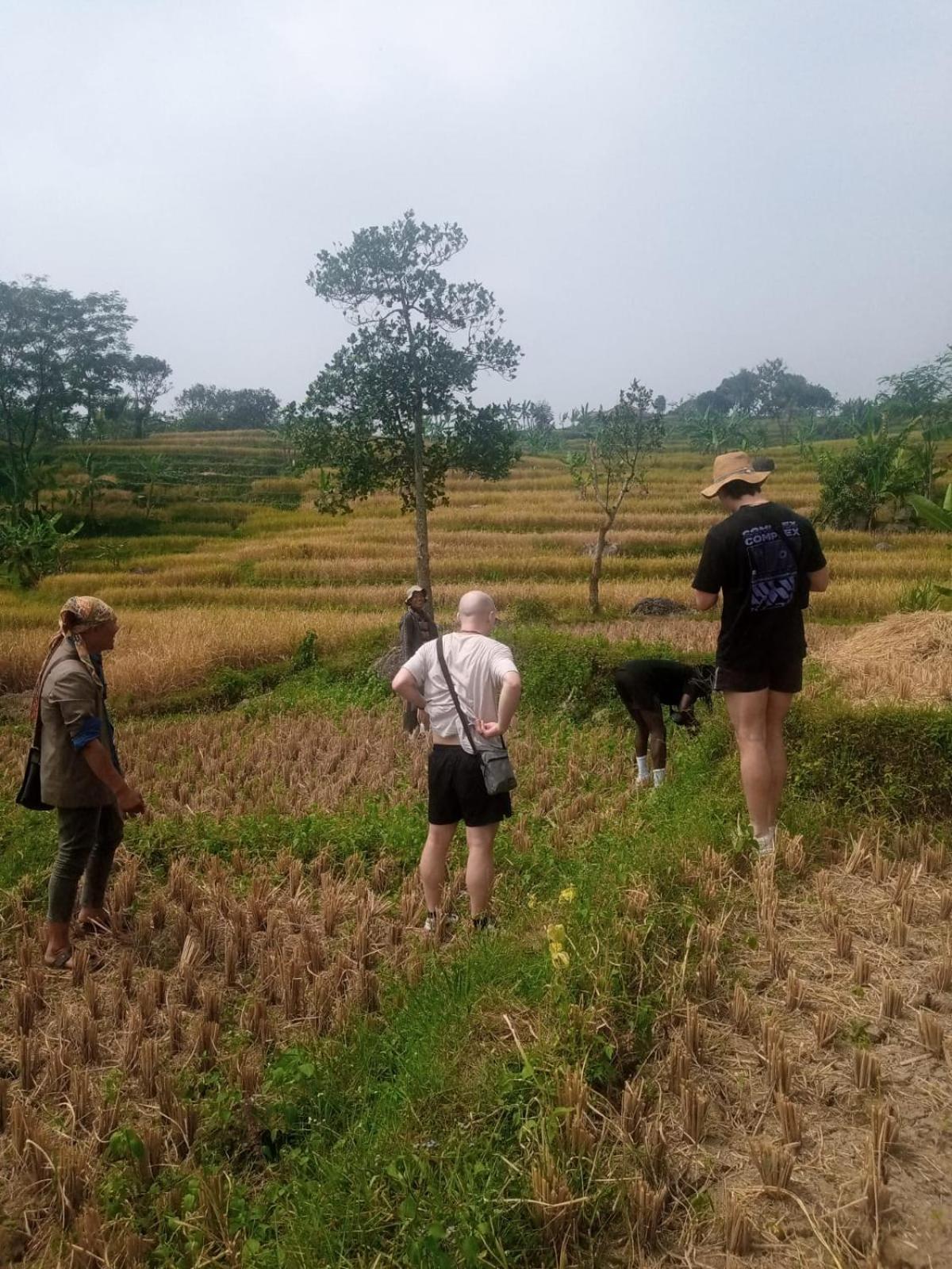 De Salak Homestay Bogor Ngoại thất bức ảnh