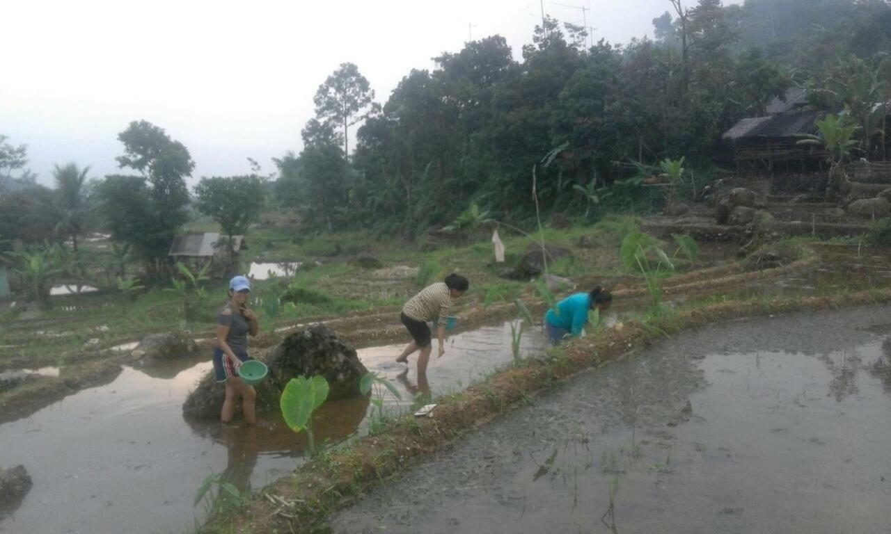 De Salak Homestay Bogor Ngoại thất bức ảnh