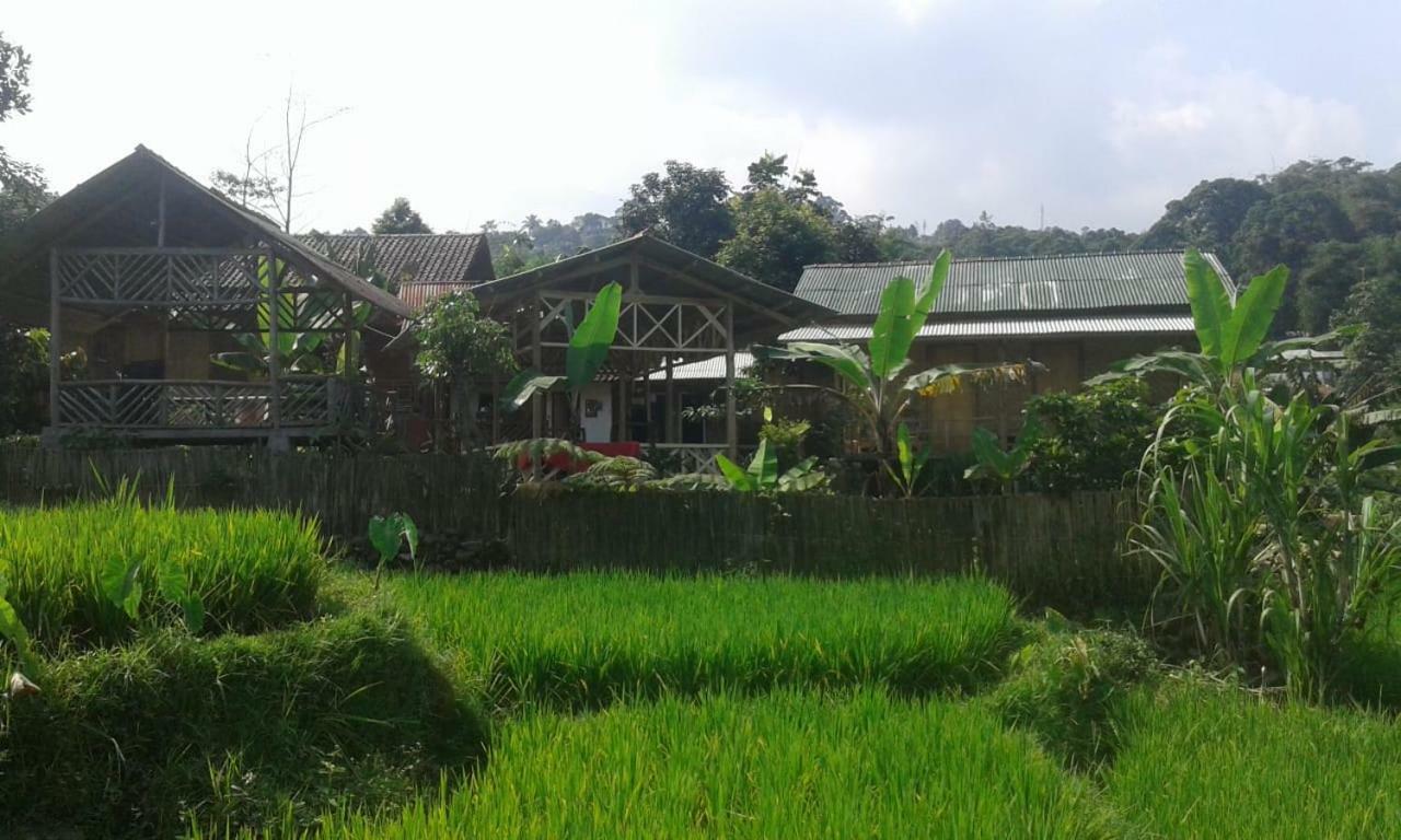 De Salak Homestay Bogor Ngoại thất bức ảnh