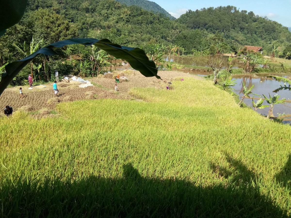 De Salak Homestay Bogor Ngoại thất bức ảnh
