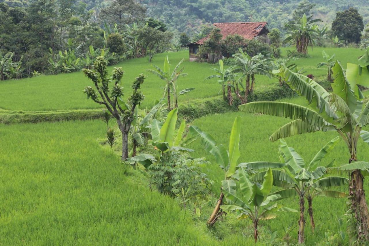 De Salak Homestay Bogor Ngoại thất bức ảnh
